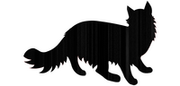 Welcome signboard cat stands long-haired