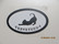 Welcome signboard cat stretch short-haired