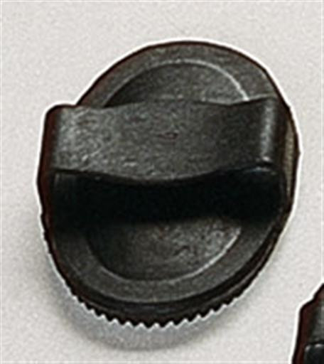 Kumisuka