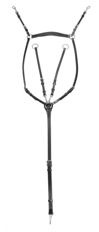 Wahlsten Premium rintaremmi + martingal
