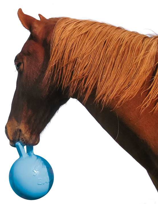 Jolly Ball 20 cm horse and dog leikkipallo