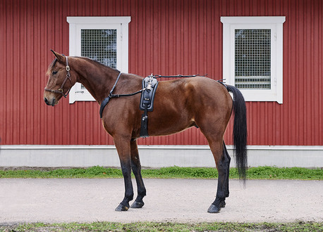 Wahlsten Premium Nurmos QH-silapaketti nahkaa