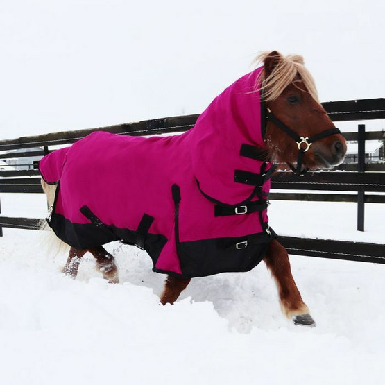Coverme Pony Full neck loimi 100g vanuvuori