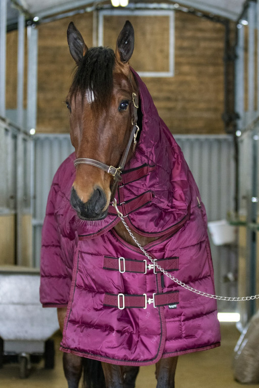 Lena 300g talliloimi fullneck