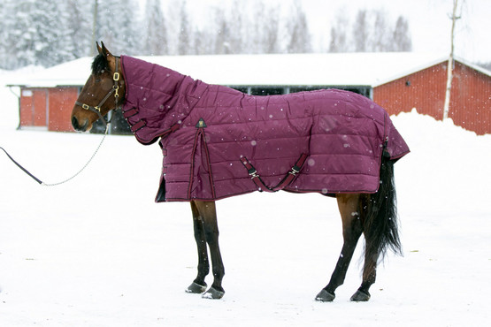 Lena 300g talliloimi fullneck