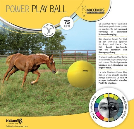 Maximus Power leikkipallo halkaisija 75cm
