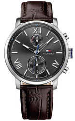 Tommy Hilfiger Alden TH1791309 rannekello