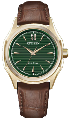 Citizen Eco-Drive FE2113-16X rannekello