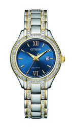 Citizen Eco-Drive FE1234-50L rannekello