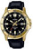 Casio MTP-VD01GL-1E rannekello