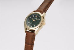 Citizen Eco-Drive FE2113-16X rannekello