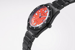 Citizen Eco-Drive AW1765-88X rannekello