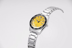 Citizen Eco-Drive AW1760-81Z rannekello