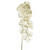 Orchid branch 93cm White