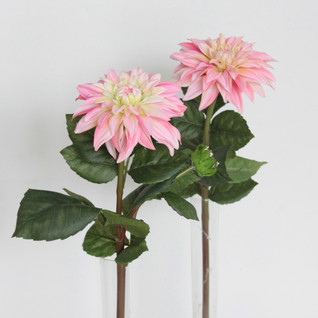 Dahlia roosa 50cm