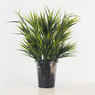 Ruohopensas 60cm