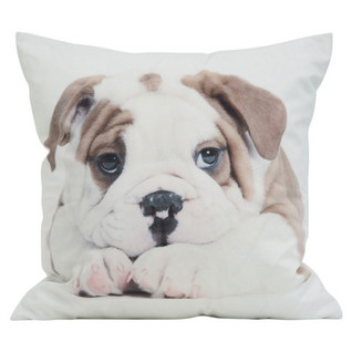 Dog Cushion cover 45x45cm