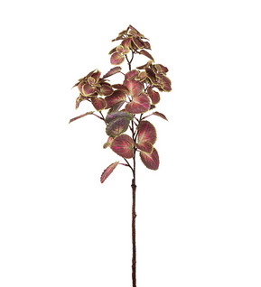 Palettblad 70cm