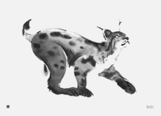 Ilves Juliste 70x50