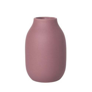 COLORA Vase Withered Rose S