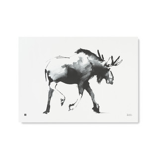 Elk Poster 70x50