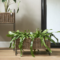 Rustic Rattan Planter Low