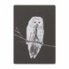 MIIKO black owl postcard