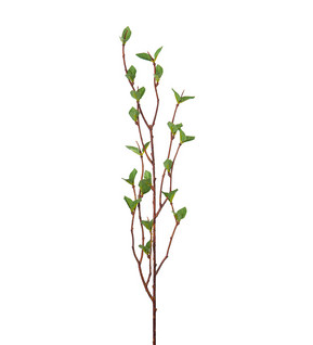 Koivunoksa 50 cm