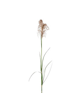 Grass 75 cm