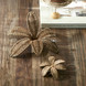 Rustic Rattan Decoration Flower M