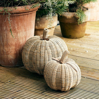 Rustic Rattan Pumpkin S