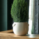 RM Yorkville Planter Off-white M