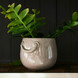 RM Yorkville Planter Brown M