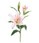 Lilja 70cm Pinkki