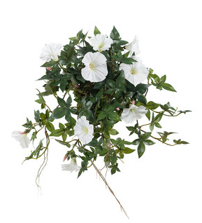 Summerflower white 45 cm