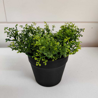 Mini kasvi ruukussa (nro 3)