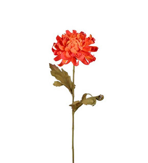 Chrysanthemum 55 cm orange
