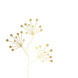 Pure Gold Berries lautasliina valkoinen 33x33