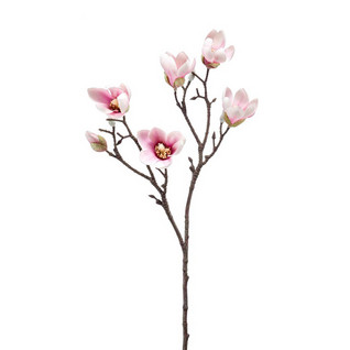 Magnolia Branch Pink 65 cm