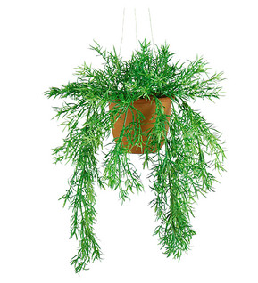 Silk Plant Asparagus 40 cm in A Pot Mr Plant