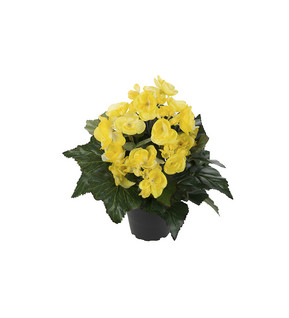 Silk Flower Begonia Yellow 28 cm Mr Plant