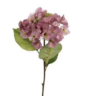 Hydrangea 45cm Rose