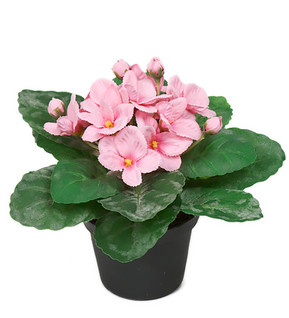 Saintpaulia silk plant pink flowers 15 cm