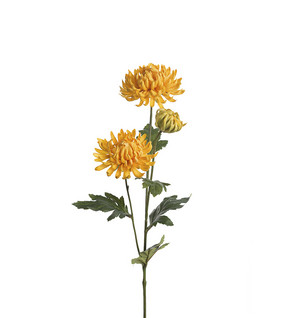 Chrysanthemum 60 Cm Yellow