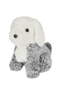 Curly Mini koira - harmaa valkoinen