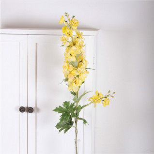 Delphinium yellow
