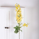 Delphinium yellow