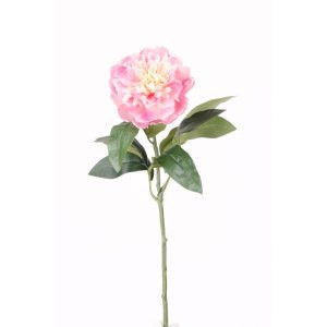Pione mini Rose 42cm