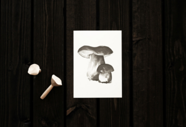 Porcini Mushroom art card