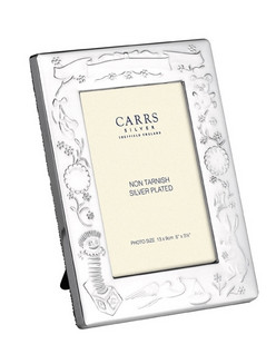 Carrs CR2-SP lasten 13x9cm hopeoitu valokuvakehys